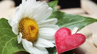 どうにもならない不安を和らげるには?不安を解消する7つの方法